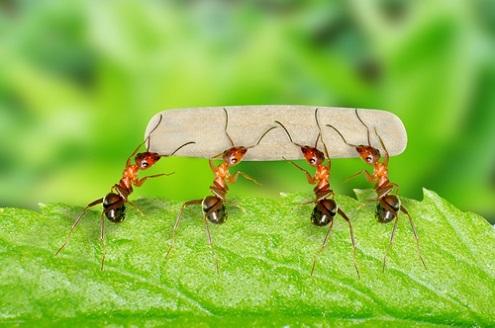 Giải Mã Giấc Mơ Nằm Mơ Câu Được Cá To