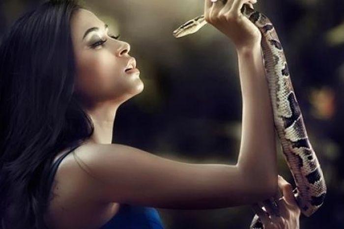 Giết rắn và bị cắn lại trong mơ