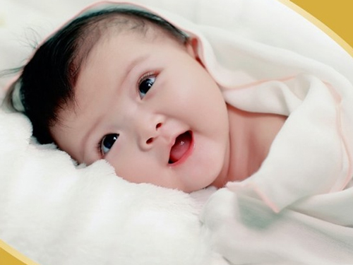 Giải Mã Giấc Mơ Nằm Mơ Câu Được Cá To