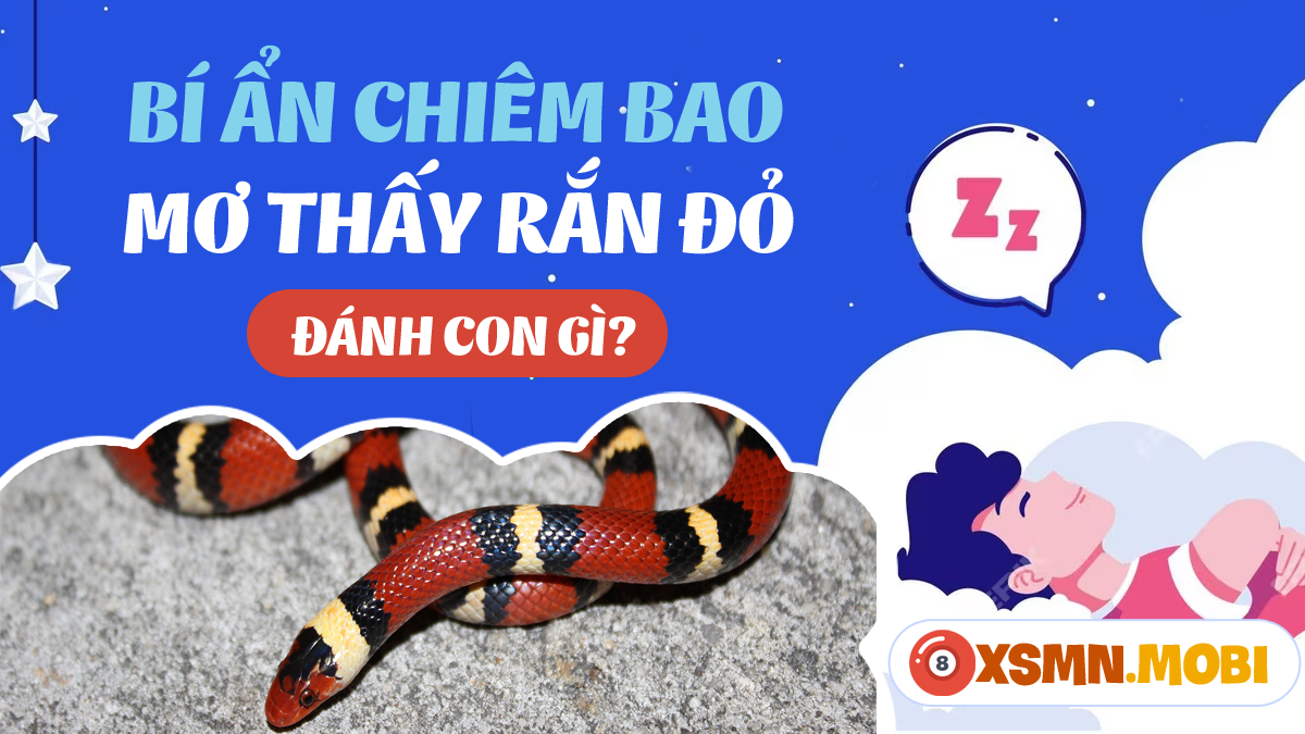 Rắn đỏ đuổi theo trong mơ
